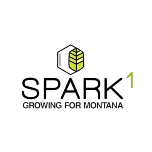 Spark 1 Logo