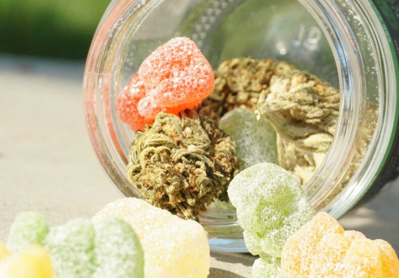 jar of marijuana gummies and flower