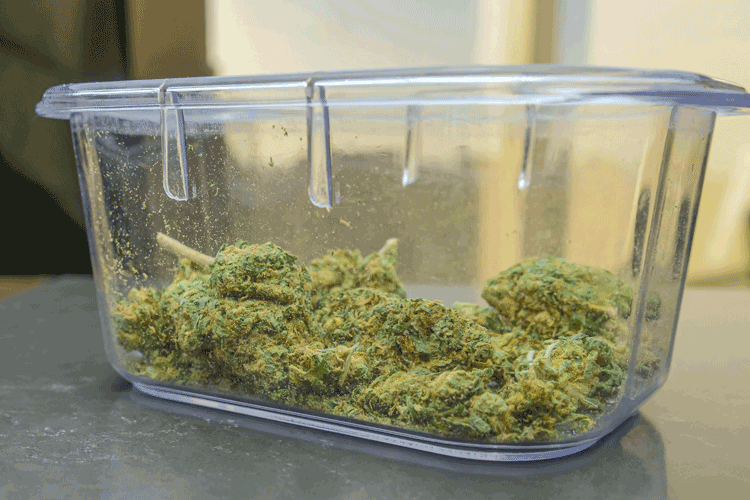 simple clear storage container with cannabis flower inside